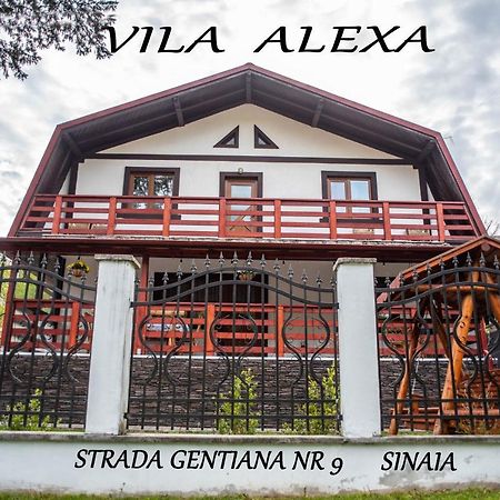 Villa Casa Alexa Sinaia Esterno foto