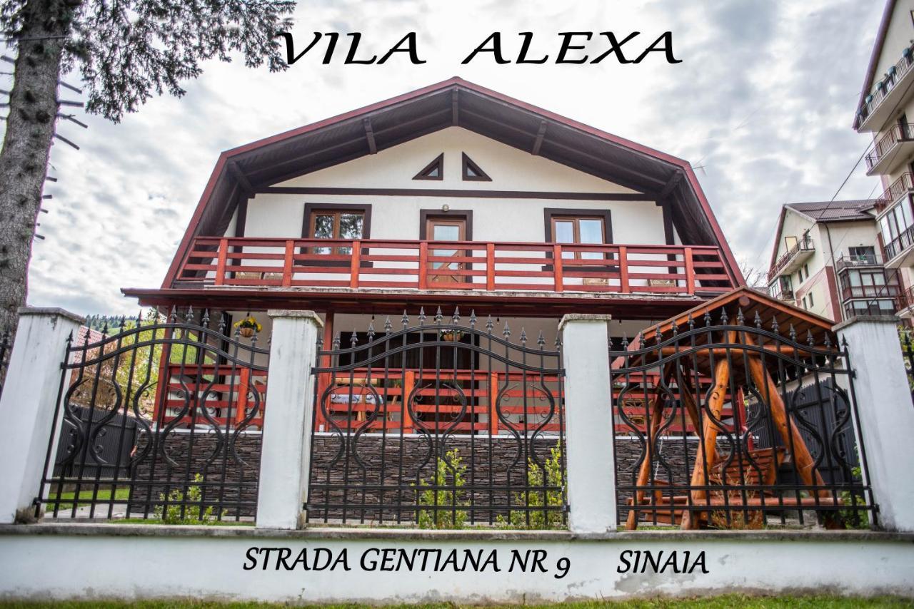 Villa Casa Alexa Sinaia Esterno foto